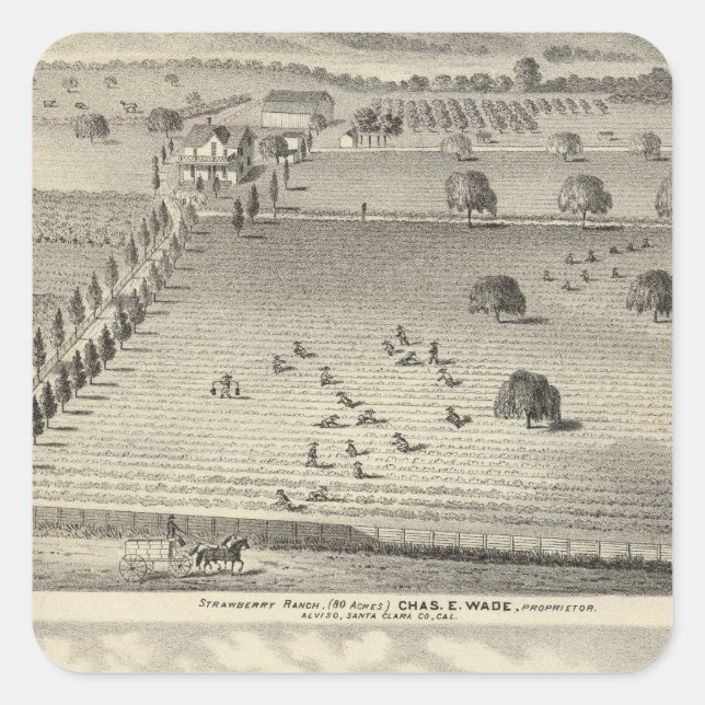 Adesivo Quadrado fazenda Wade, residência do Weller (Frente)