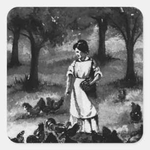 Adesivo Quadrado Fazendeiro da galinha do quintal do vintage