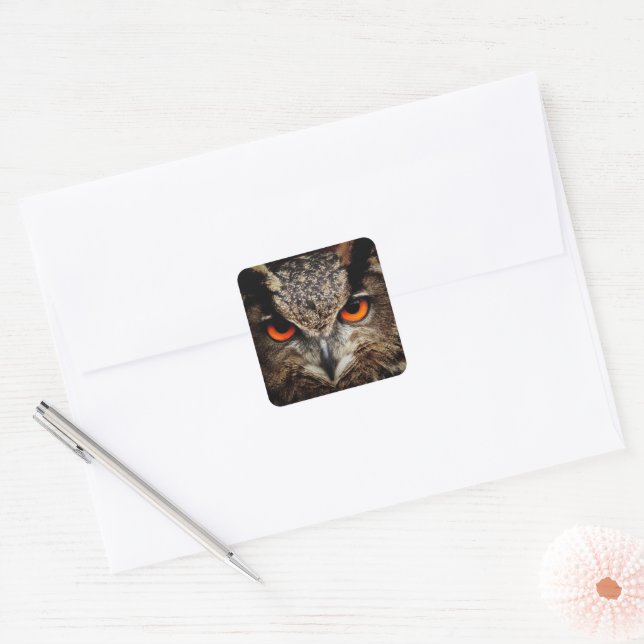 Adesivo Quadrado Feche a Coruja com Olhos Laranja (Envelope)