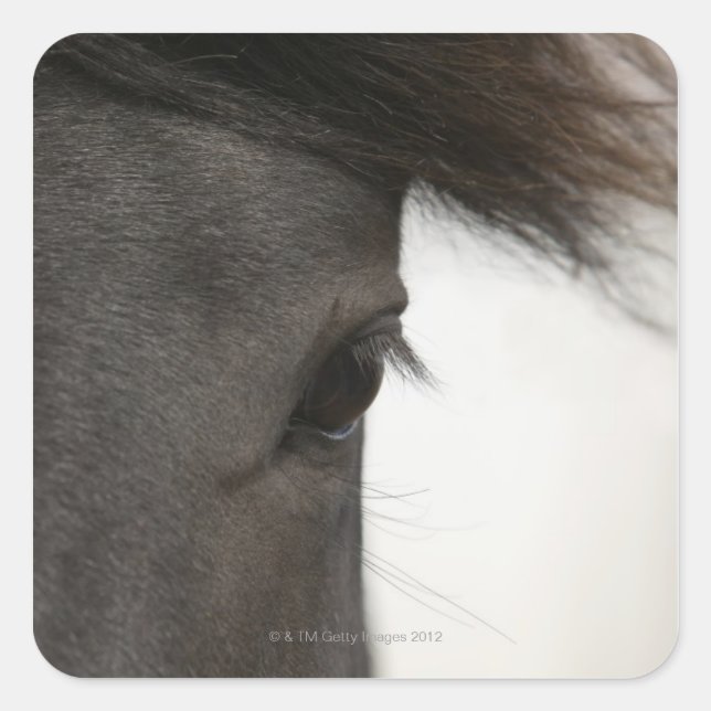Adesivo Quadrado Fecho dos olhos e do cabelo de cavalo (Frente)