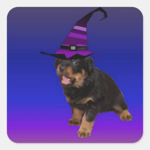 Adesivo Quadrado Feiticeira Rottie