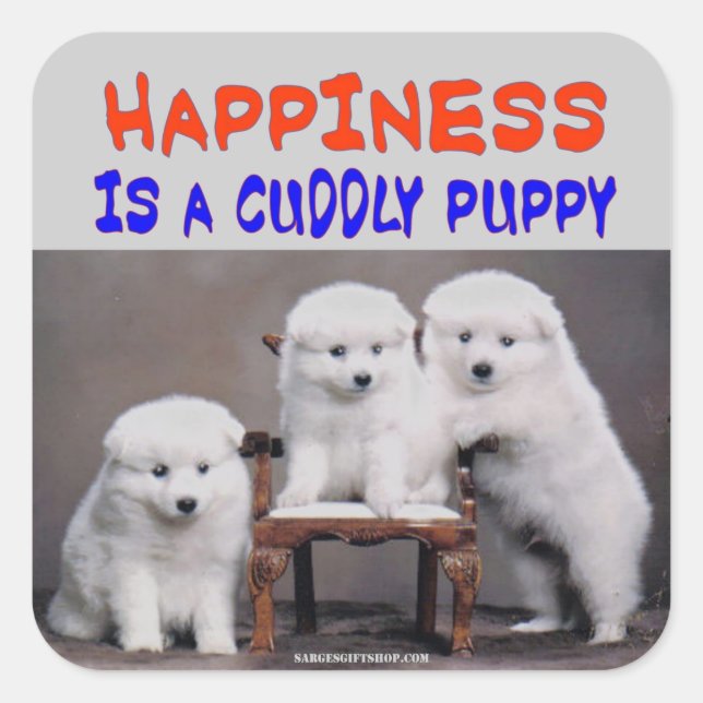 ADESIVO QUADRADO FELICIDADE (Frente)