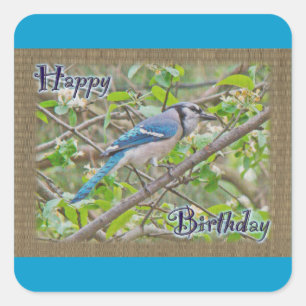 Adesivo Quadrado Feliz aniversário Blue Jay
