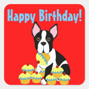 Adesivo Quadrado Feliz aniversário, Boston Terrier Cupcakes Sticker