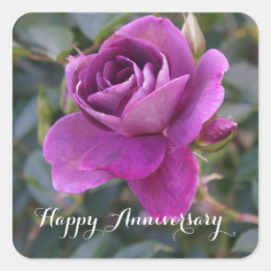 Adesivo Quadrado Feliz Aniversário Burgundy Iceberg 2 Stickers