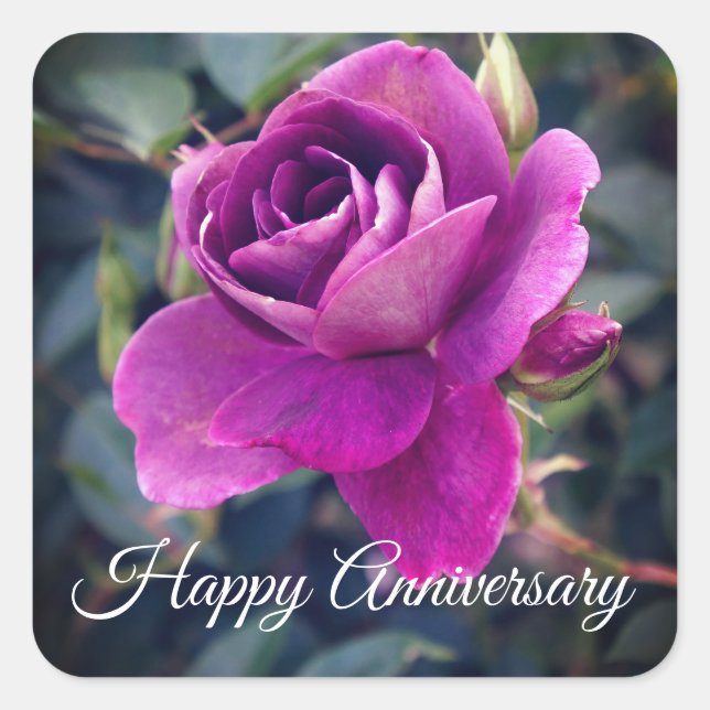 Adesivo Quadrado Feliz Aniversário Burgundy Iceberg 2 Stickers (Frente)