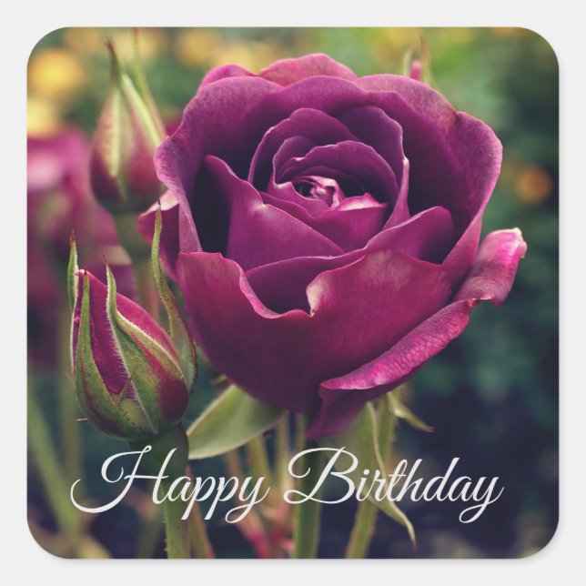 Adesivo Quadrado Feliz aniversário Burgundy Iceberg Rosa nº 1 (Frente)