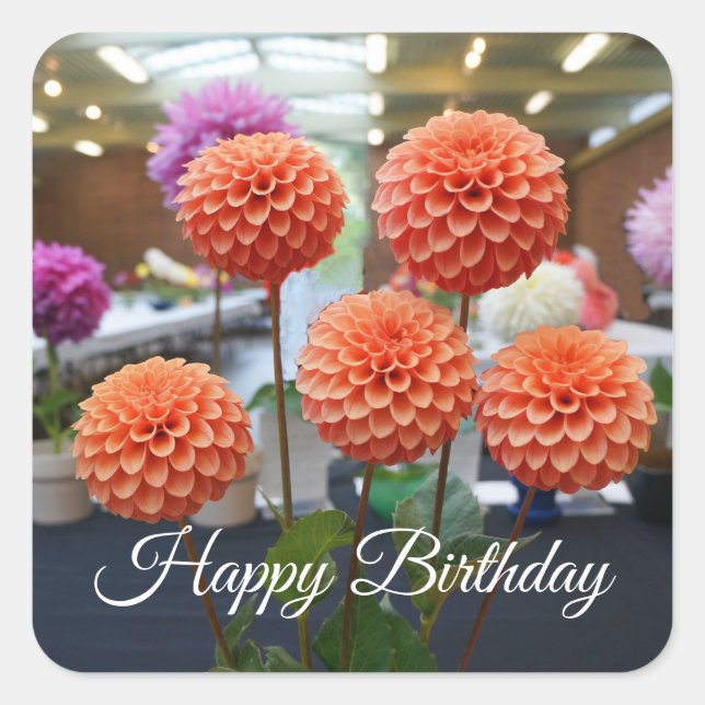 Adesivo Quadrado Feliz Aniversário Dahlia Rosa Toscano #1-1 Sticker (Frente)