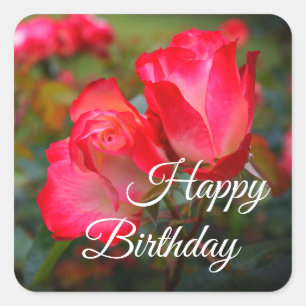 Adesivo Quadrado Feliz Aniversário de Parfait Cereja Rosa nº 4-2