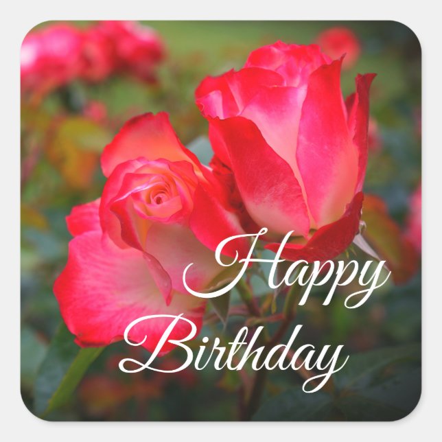 Adesivo Quadrado Feliz Aniversário de Parfait Cereja Rosa nº 4-2 (Frente)