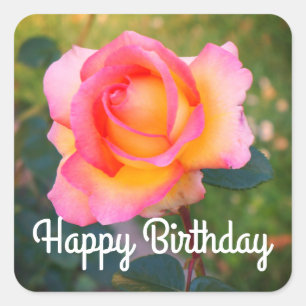 Adesivo Quadrado Feliz Aniversário Elle Rosa nº 2 Stickers