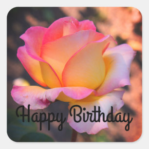 Adesivo Quadrado Feliz Aniversário Elle Rosa nº 4-2 Stickers