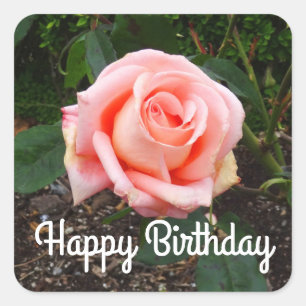 Adesivo Quadrado Feliz Aniversário Folclore Rosa nº 1 Adeskers