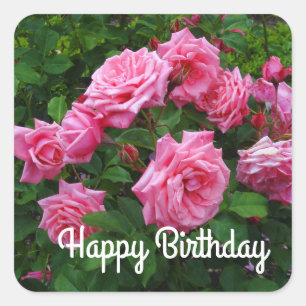 Adesivo Quadrado Feliz aniversário Gene Boerner Rosa nº 2 Stickers