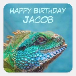 Adesivo Quadrado Feliz aniversário Iguana