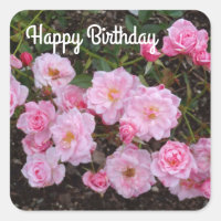 Feliz aniversário Jeanne LaJoie Rosa nº 1 Stickers
