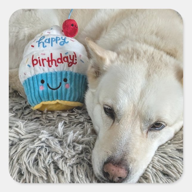 Adesivo Quadrado Feliz aniversário para você. (Frente)