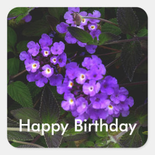Adesivo Quadrado Feliz Aniversário Roxo Trailer Lantana #1 Sticker