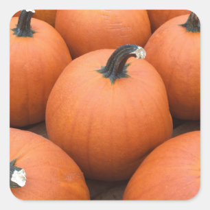 Adesivo Quadrado Feliz esquadrão