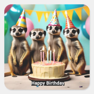 Adesivo Quadrado Feliz Meerkat Birthday,