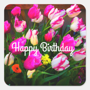 Adesivo Quadrado Feliz Natal de Aniversário Sonho e Ataque #1-1