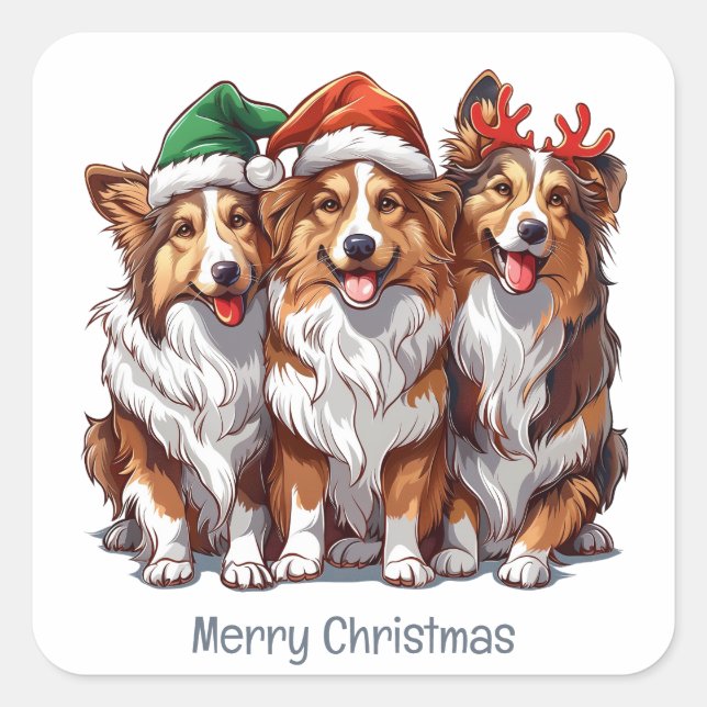 Adesivo Quadrado Feliz Natal Shetland Sheepdog (Frente)