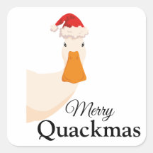 Feliz Quackmas, desenho animado de Natal Duck