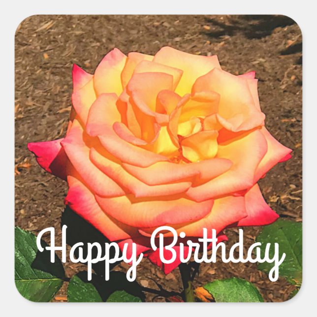 Adesivo Quadrado Feliz Sonho de Aniversário Vindo a Verdadeira Rosa (Frente)