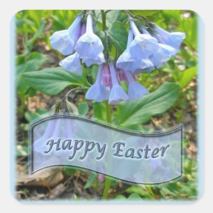 Adesivo Quadrado felz pascoa Virginia Bluebells