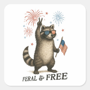 Adesivo Quadrado Férrimo Mas Livre Fogos De Artifício Feral Raccoon