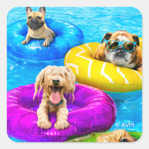 Adesivo Quadrado Festa da Piscina do Cachorro