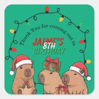 Festa de Aniversário Luzes de Natal de Capivara