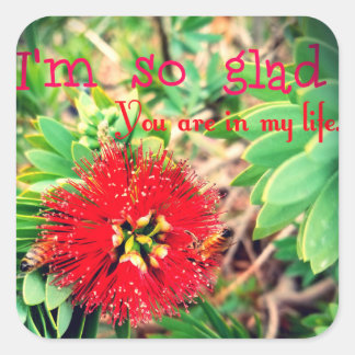 Adesivo Quadrado Fico feliz que esteja na minha vida