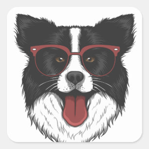 Adesivo Quadrado Filhote de Cachorro Fofo Amante Border Collie Pret