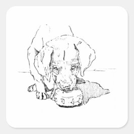 Adesivo Quadrado Filhote de Labrador para Amante de Cachorro