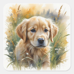 Adesivo Quadrado Filhote de retriever dourado ao pôr do sol