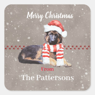 Adesivo Quadrado Filhote Fluffy German shepherd Tão Bonito