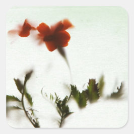 Adesivo Quadrado Finalmente primavera!