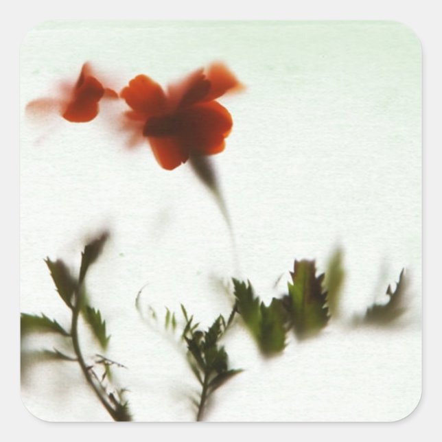 Adesivo Quadrado Finalmente primavera! (Frente)