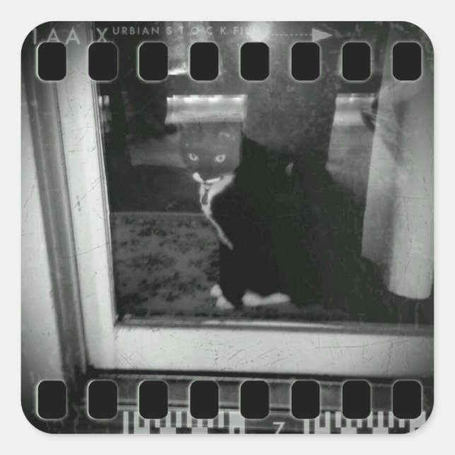 Adesivo Quadrado Fita de Filme Lucy (Frente)