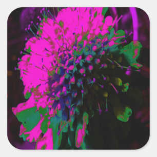 Adesivo Quadrado Flor Abstrata Retro Cor-de-Rosa e Preta Trippy