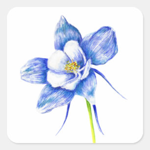 Adesivo Quadrado Flor de Columbina Azul