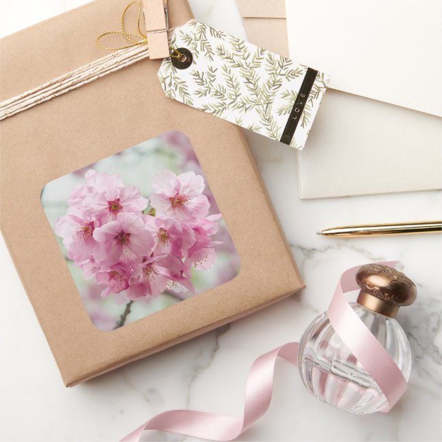 Adesivo Quadrado Flor de Flor de Cereja Rosa, Fotografia no Japão (Presentear)