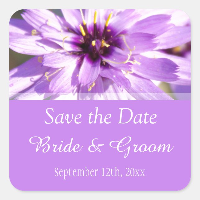 Adesivo Quadrado Flor de margarida roxa elegante e bonito, salvar a (Frente)