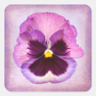 Adesivo Quadrado Flor Púrpura Rosa