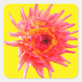 Adesivo Quadrado Flor rosa e amarela