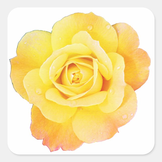 Adesivo Quadrado Flor Rosa Floral Laranja Amarelo Páscoa Primavera (Frente)