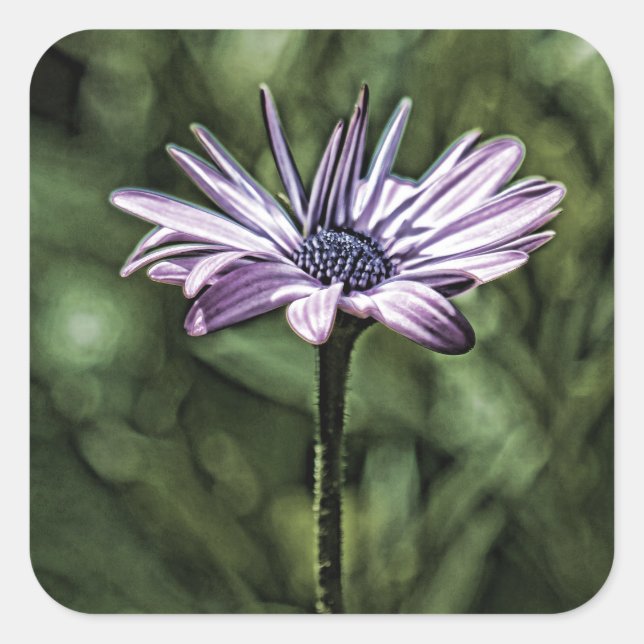 Adesivo Quadrado Flor Roxo Sozinha (Frente)