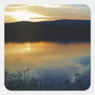 Adesivo Quadrado Flor selvagem, pôr de sol azul