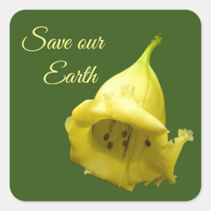 Adesivo Quadrado Flor tropical amarelo